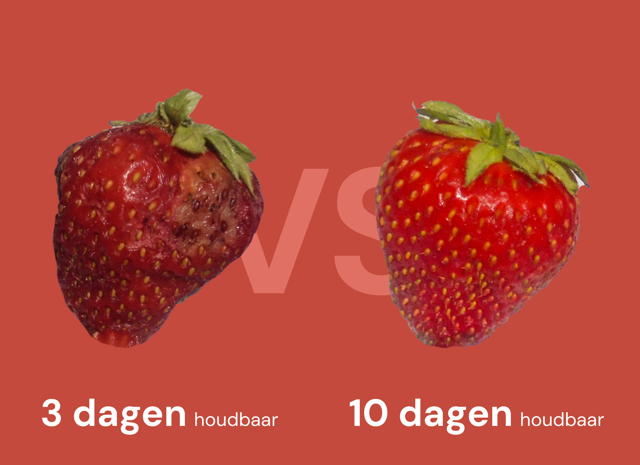 Aardbei versheid vergelijking
