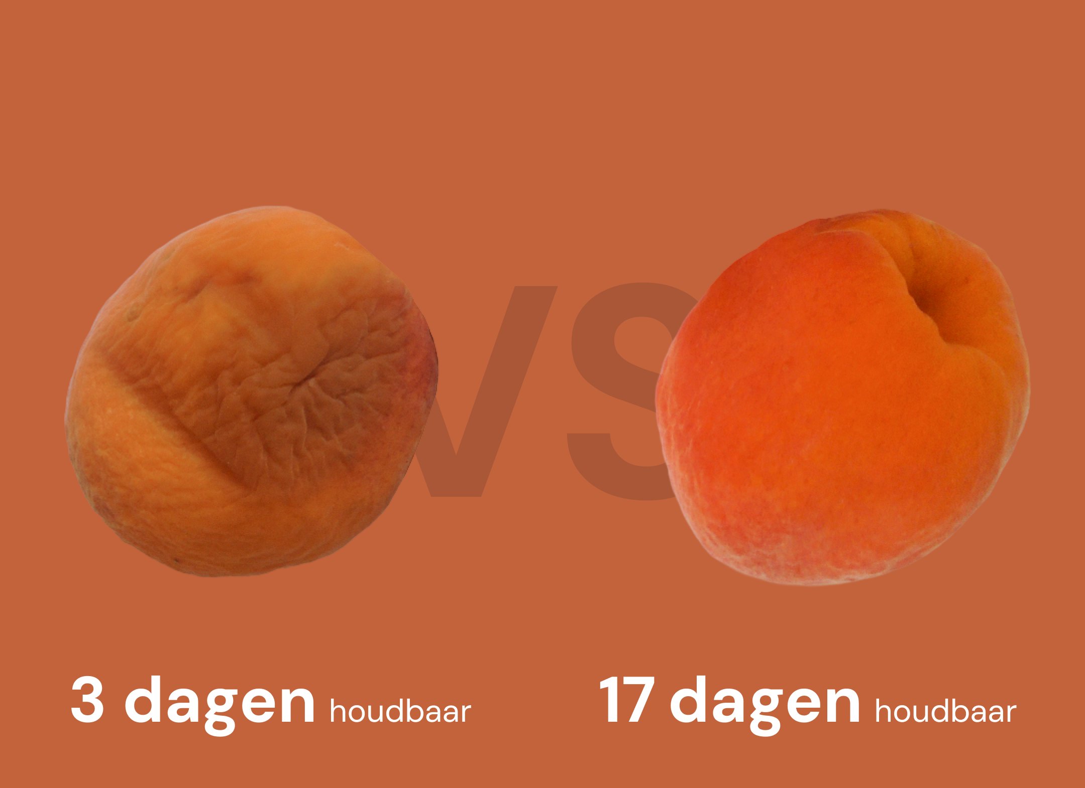 Abrikoos versheid vergelijking