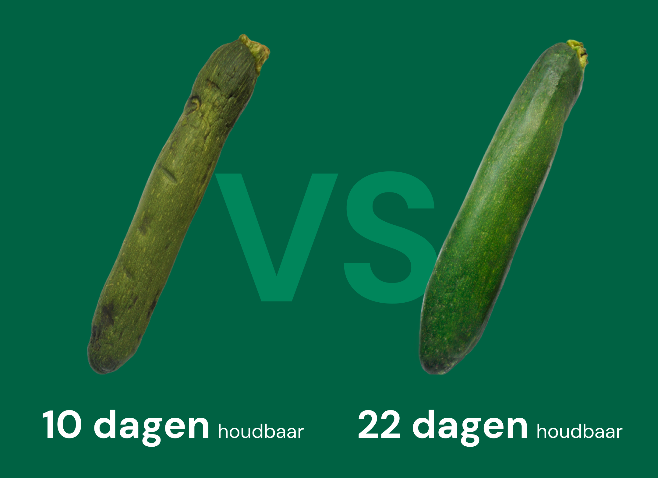 Courgette versheid vergelijking