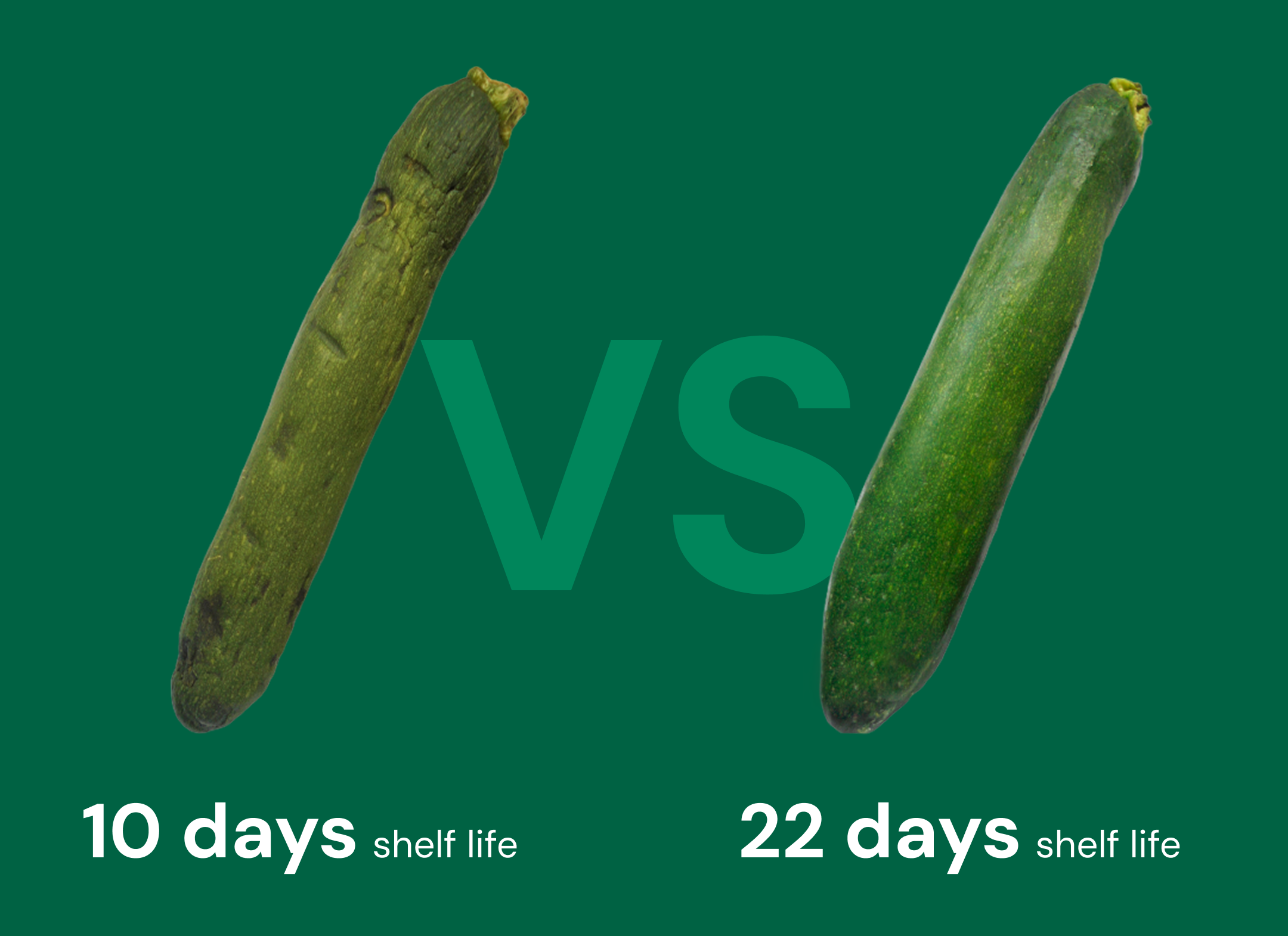 Zucchini freshness comparison