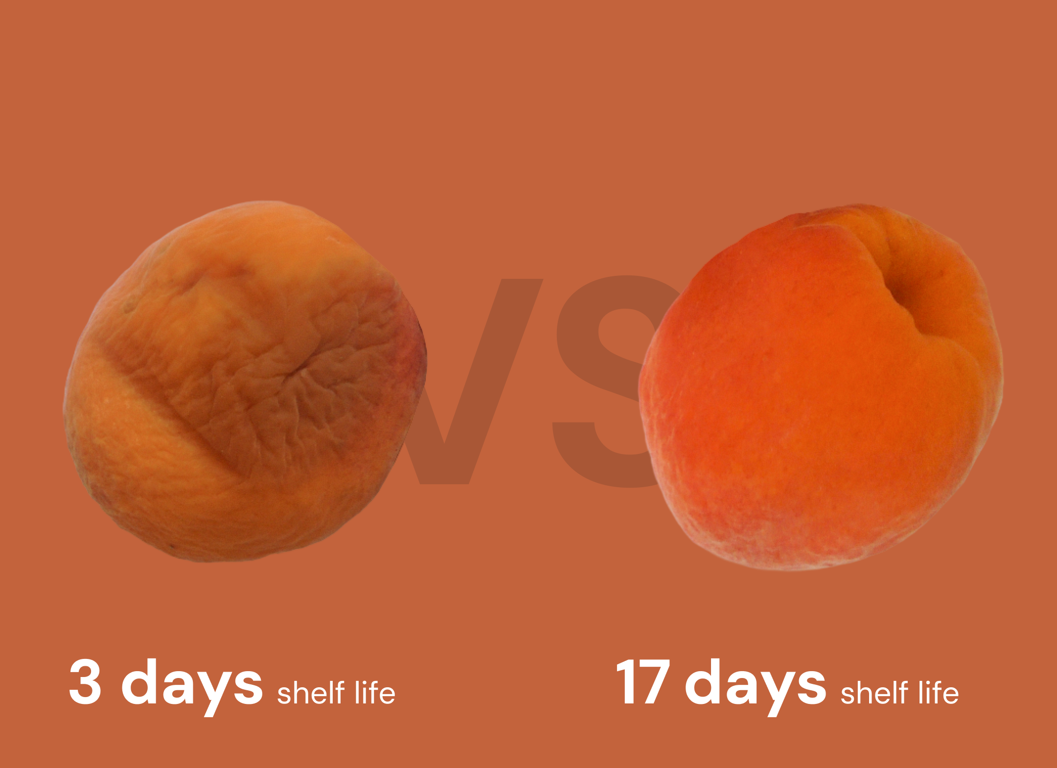 Apricot freshness comparison
