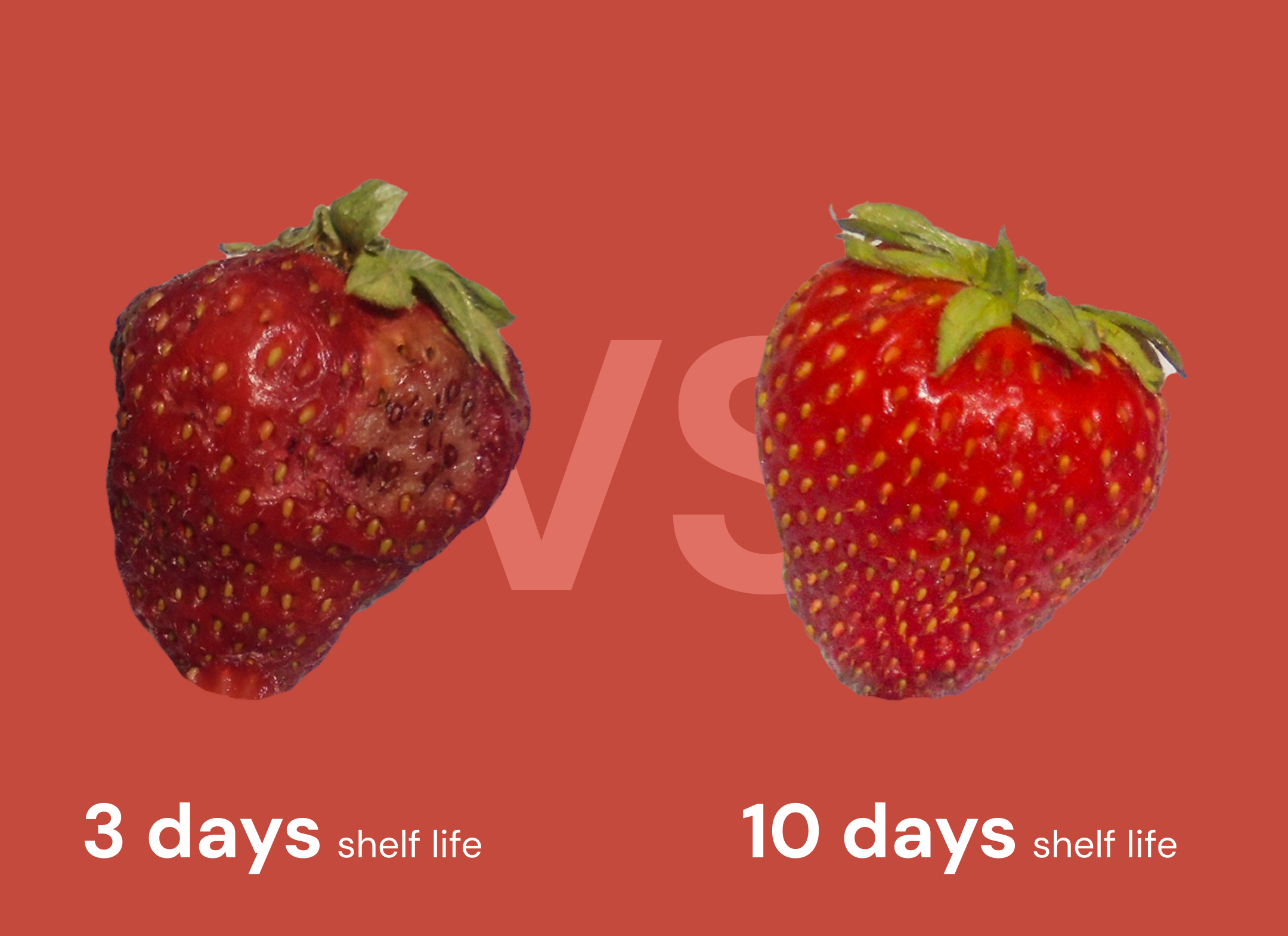 Strawberry freshness comparison